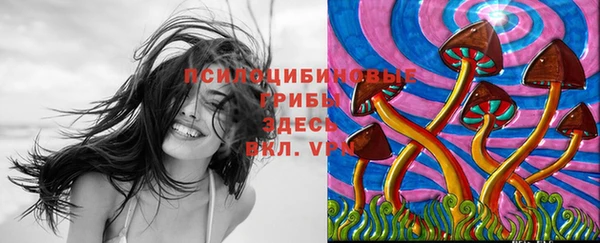крисы Балахна