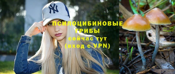 стафф Баксан
