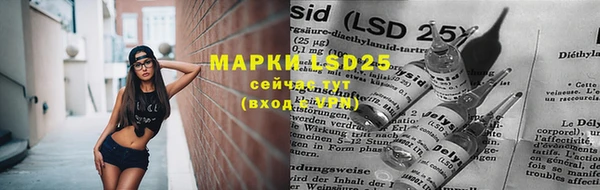 индика Белокуриха